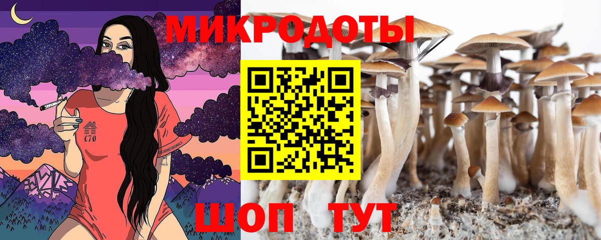 Псилоцибиновые грибы мицелий Сарапул