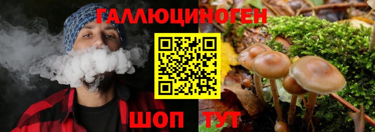 Сарапул  Галлюциногенные грибы MAGIC MUSHROOMS  Вход с VPN 